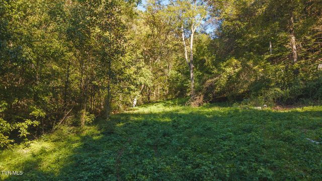 69.26 Acre Wolfe Road, Sneedville, TN 37869