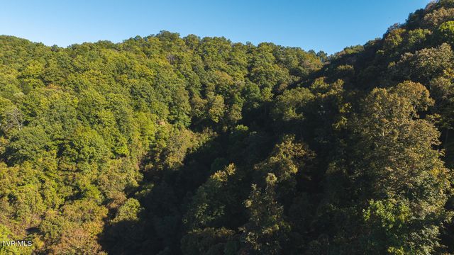 69.26 Acre Wolfe Road, Sneedville, TN 37869