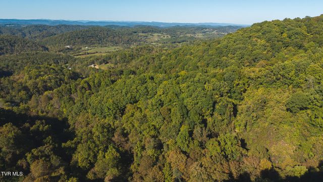 69.26 Acre Wolfe Road, Sneedville, TN 37869