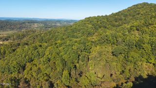 69.26 Acre Wolfe Road, Sneedville, TN 37869