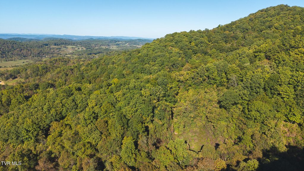 69.26 Acre Wolfe Road, Sneedville, TN 37869