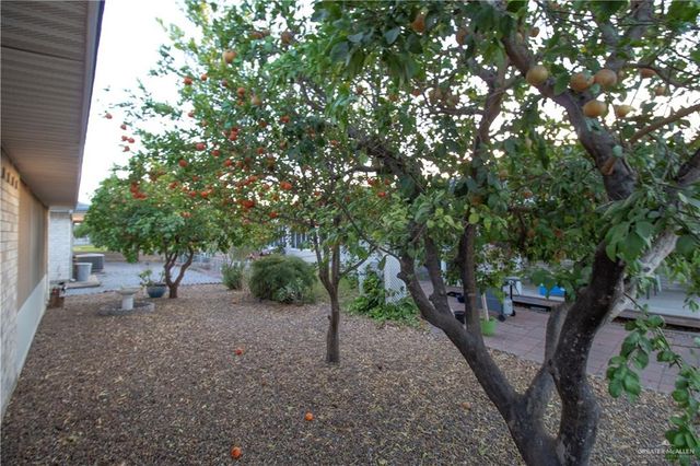 411 Scorpio Street, Mission, TX 78572