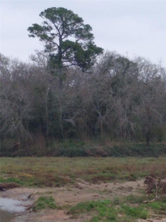 0 Fm 2351 Road, Friendswood, TX 77546