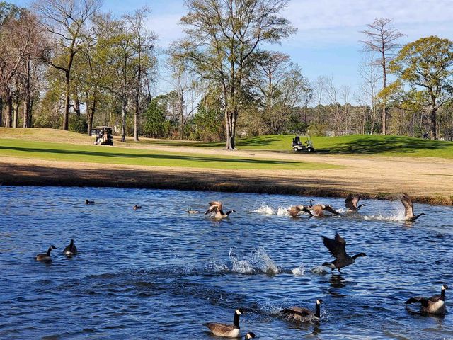 533 White River Dr Unit 18E, Myrtle Beach, SC 29579