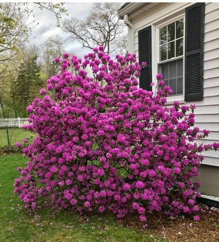 40 Shattuck Park Rd, Norwood, MA 02062