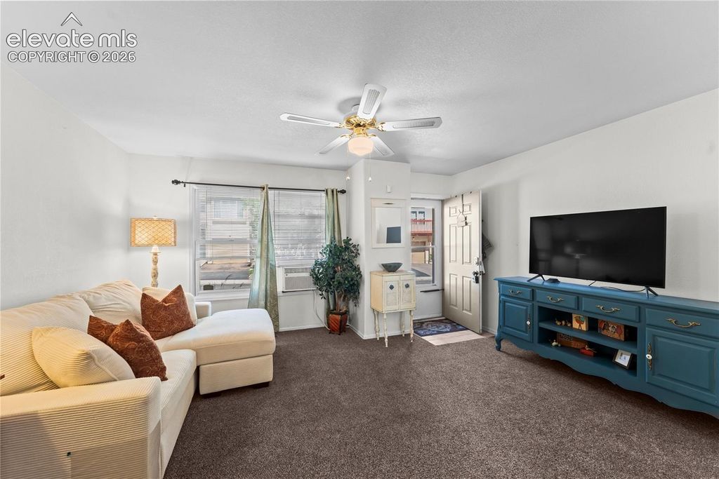 2063 Bristlecone Drive, Colorado Springs, CO 80919 — photo 2