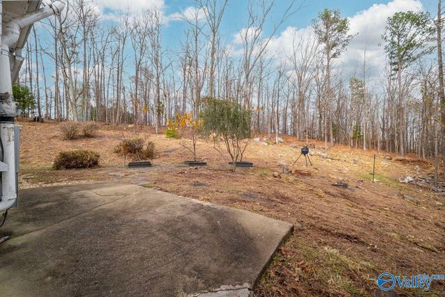 157 Hickory Ridge Drive, Glencoe, AL 35905