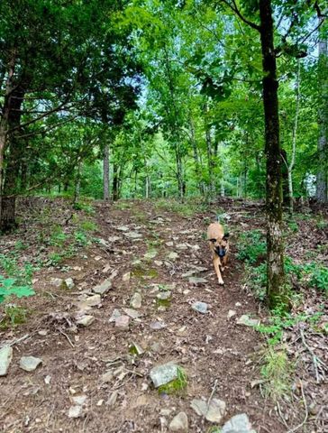 2730 Collins Drive, Conway, AR 72034