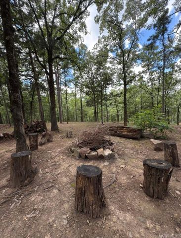 2730 Collins Drive, Conway, AR 72034