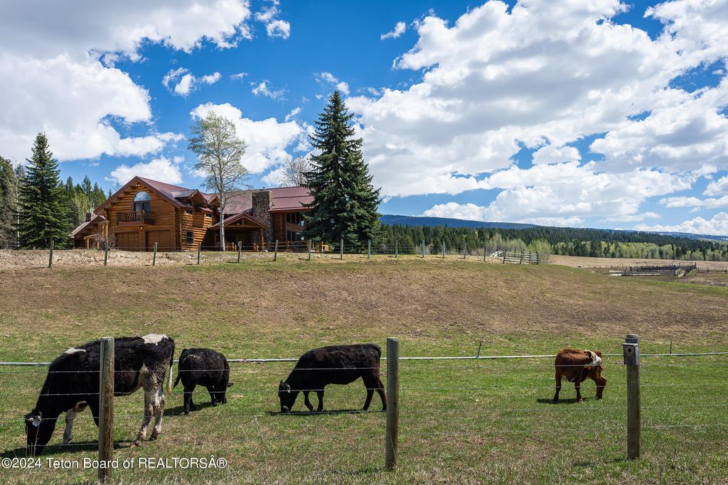 465 E RIGBY Road, Alta, WY 83414 photo 63