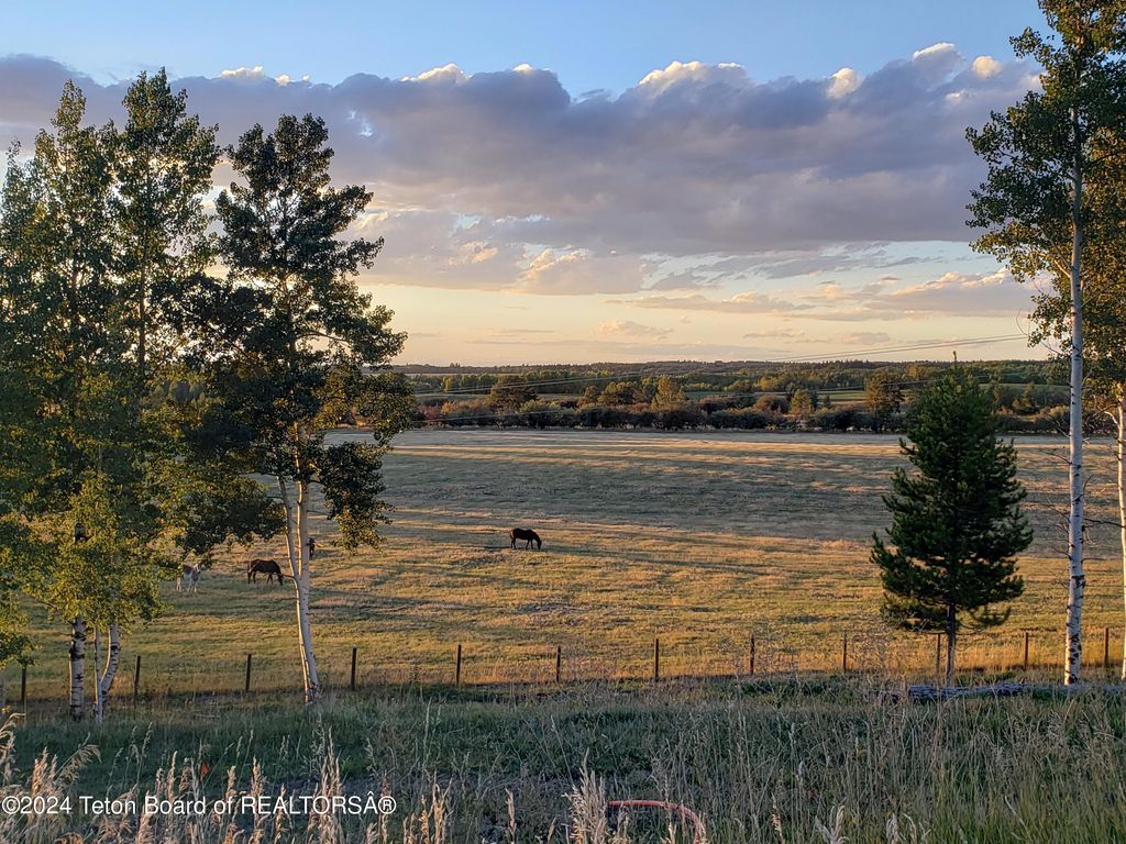 465 E RIGBY Road, Alta, WY 83414 photo 81