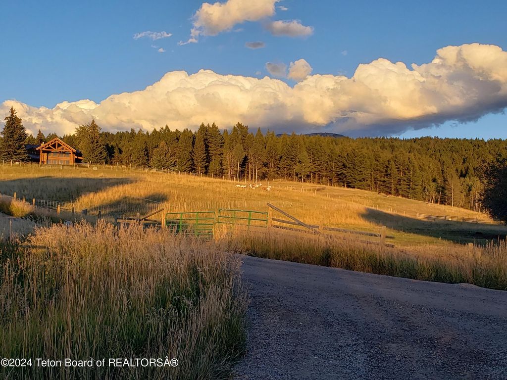 465 E RIGBY Road, Alta, WY 83414 photo 83