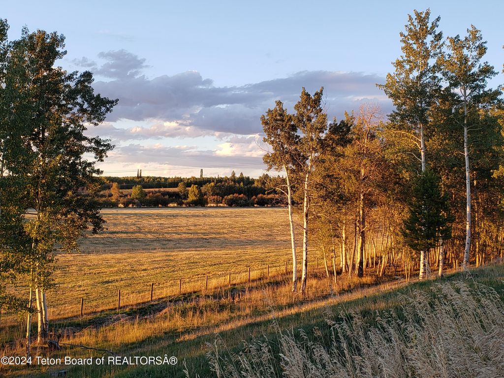 465 E RIGBY Road, Alta, WY 83414 photo 84