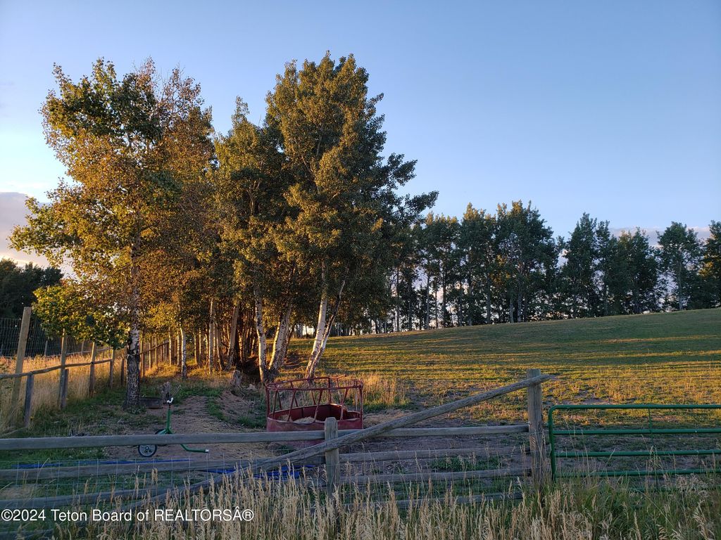 465 E RIGBY Road, Alta, WY 83414 photo 85