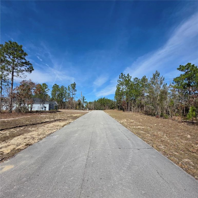 Image 3 of property listing at TBD SW 87TH AVENUE, Ocala, FL 34473