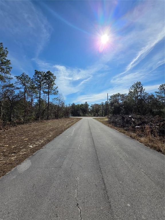 Image 4 of property listing at TBD SW 87TH AVENUE, Ocala, FL 34473