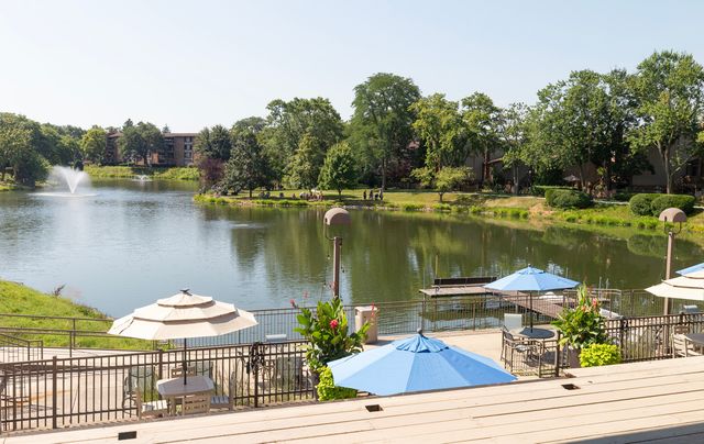 701 Lake Hinsdale Drive 306, Willowbrook, IL 60527