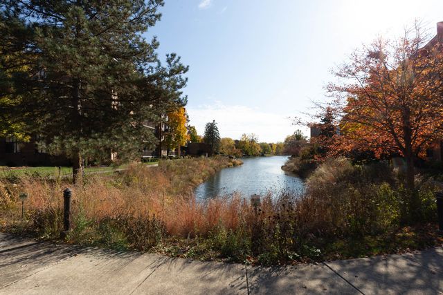 701 Lake Hinsdale Drive 306, Willowbrook, IL 60527