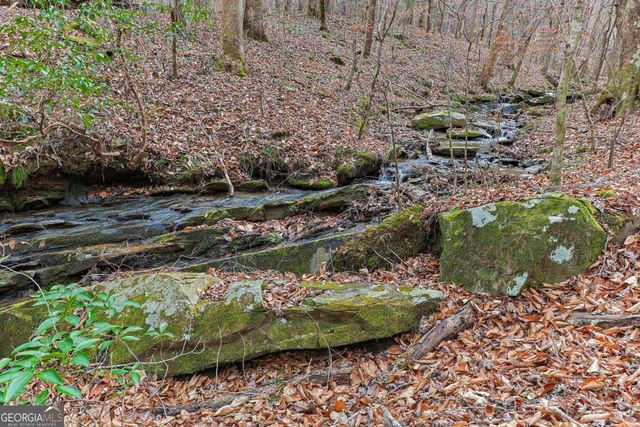 30 Chancel Circle 654R, Ellijay, GA 30540