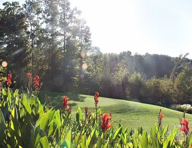 Lot 296 Oconee Avenue, Westminster, SC 29693
