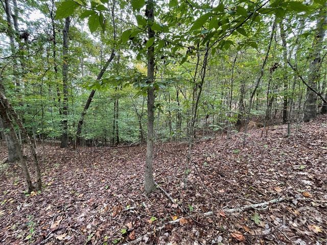 Lot 296 Oconee Avenue, Westminster, SC 29693