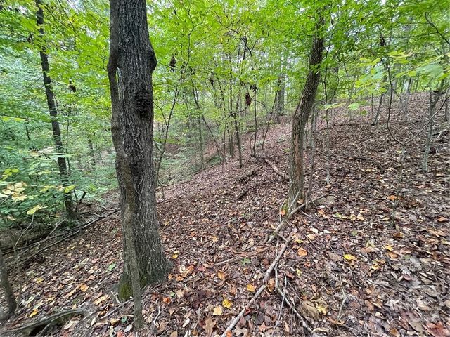 Lot 296 Oconee Avenue, Westminster, SC 29693