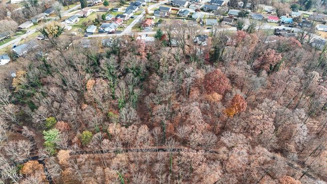 Tbd Mountain Drive, Kingsport, TN 37664