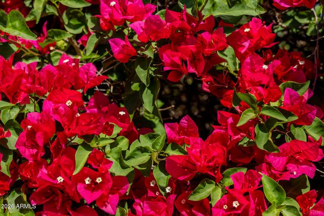 8010 W BELMONT Avenue, Glendale, AZ 85303