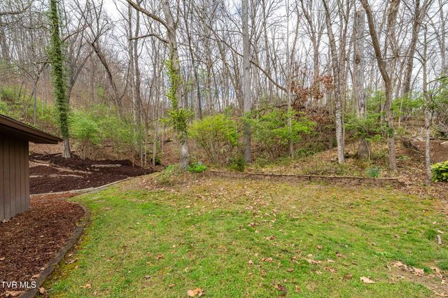 102 Tracy Lane, Bristol, TN 37620