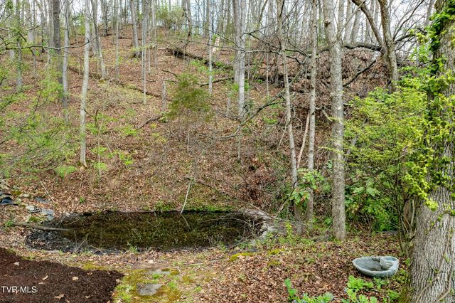 102 Tracy Lane, Bristol, TN 37620