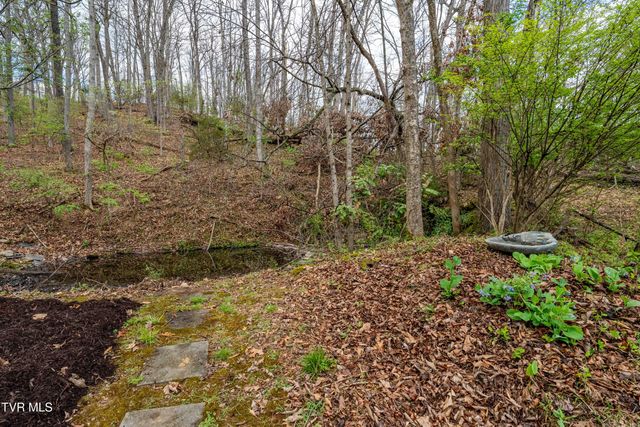 102 Tracy Lane, Bristol, TN 37620