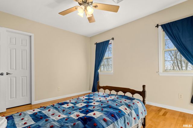 24845 EMANUEL Lane, Tremont, IL 61568