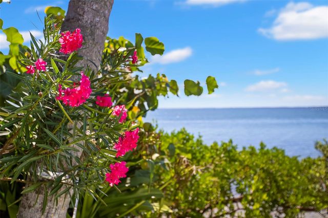 6199 54TH STREET S, St Petersburg, FL 33715