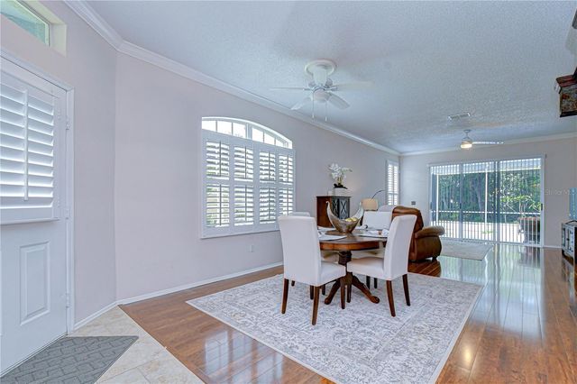 9815 GINGERWOOD DRIVE, Tampa, FL 33626