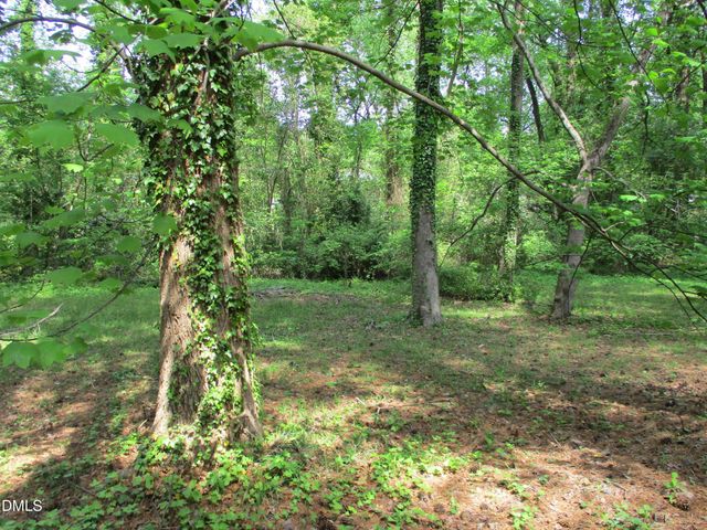 729 Ravel Street, Raleigh, NC 27606