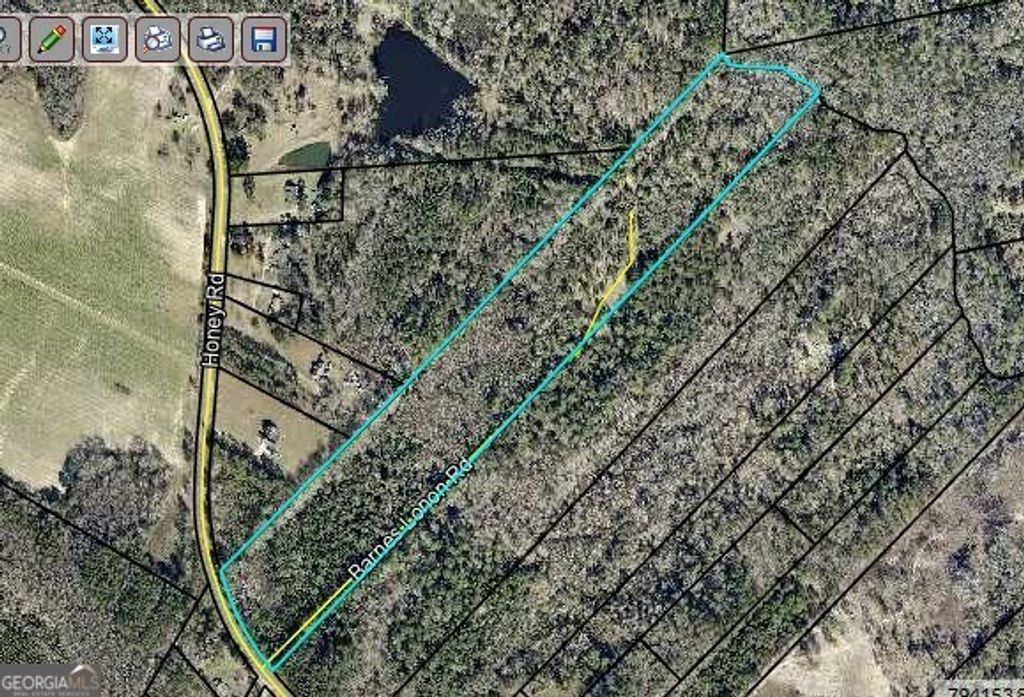 0 Honey Road, Sylvania, GA 30467