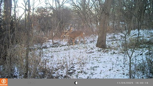 5633 Saint Mary Drive NW, Rochester, MN 55901