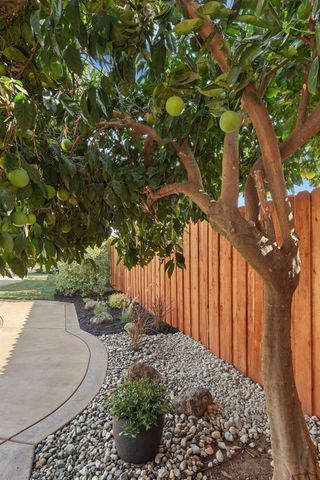 764 Adare Way, Galt, CA 95632