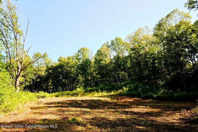 60 Stone Wall Path, Milan, NY 12571