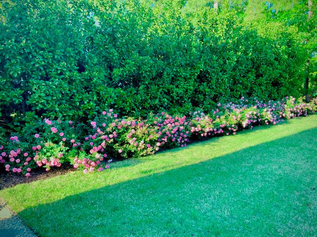 4278 Home Town Lane, Ravenel, SC 29470