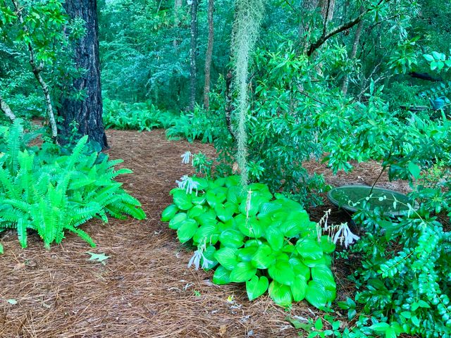 4278 Home Town Lane, Ravenel, SC 29470