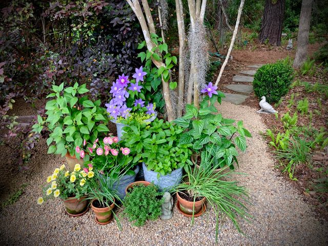 4278 Home Town Lane, Ravenel, SC 29470