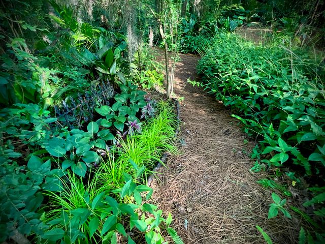 4278 Home Town Lane, Ravenel, SC 29470