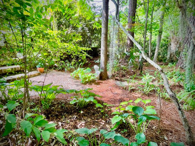 4278 Home Town Lane, Ravenel, SC 29470