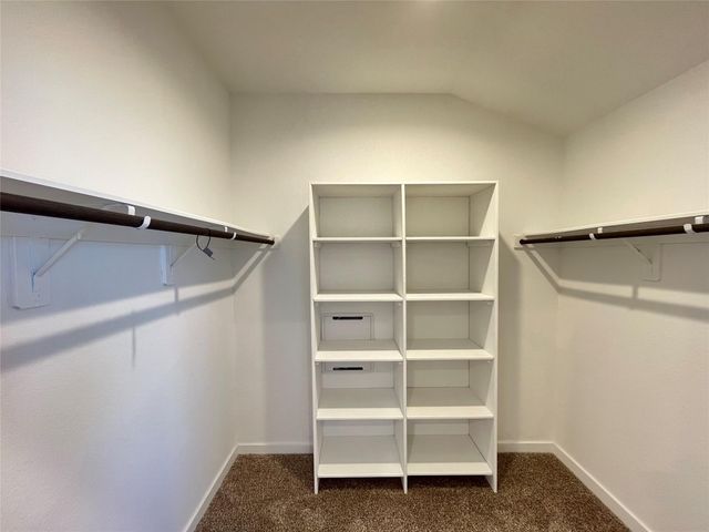 14206 Black Canyon Lane, Conroe, TX 77384