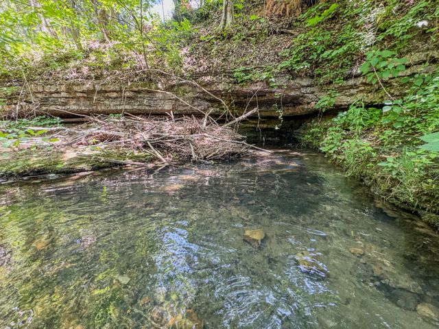220 Ovilla Ln, Lawrenceburg, TN 38464