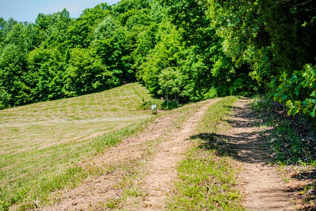 220 Ovilla Ln, Lawrenceburg, TN 38464