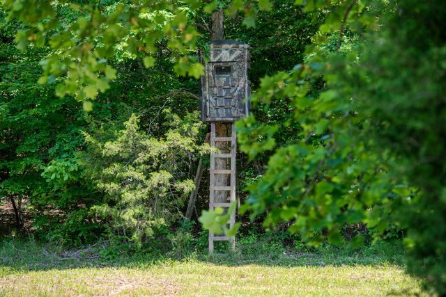 220 Ovilla Ln, Lawrenceburg, TN 38464