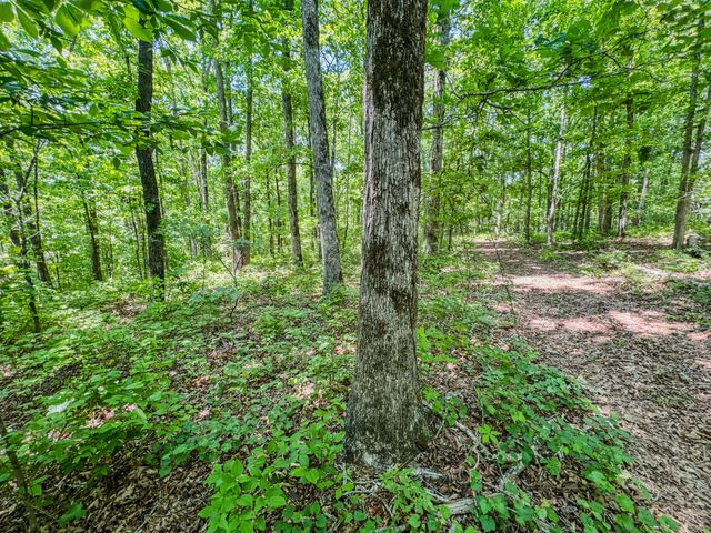 220 Ovilla Ln, Lawrenceburg, TN 38464
