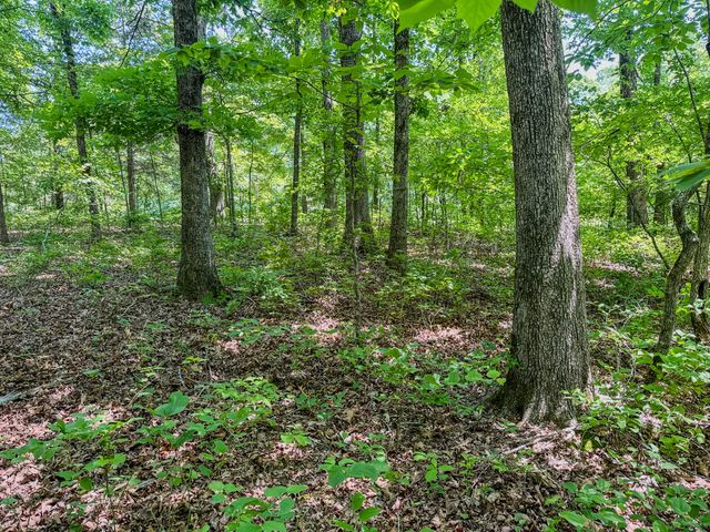 220 Ovilla Ln, Lawrenceburg, TN 38464